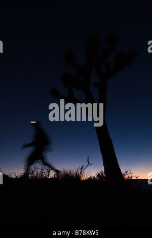 A silhouette of a man hiking by a Joshua Tree at sunset near Lone Pine in California Stock Photo