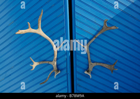 Entry doors to the igloo-hotel with caribou-antlers, Snow Hotel, Kirkenes, Finnmark, Lapland, Norway, Scandinavia, Europe Stock Photo