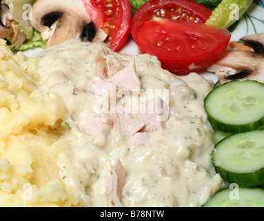 Chicken in a herbed cream sauce,served with mashed potatoes and a salad of mushrooms,lettuce,tomato and cucumber Stock Photo