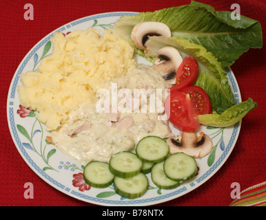 A meal of chicken in a herbed cream sauce,served with mashed potato and a salad of lettuce,cucumber,tomato and mushrooms. Stock Photo