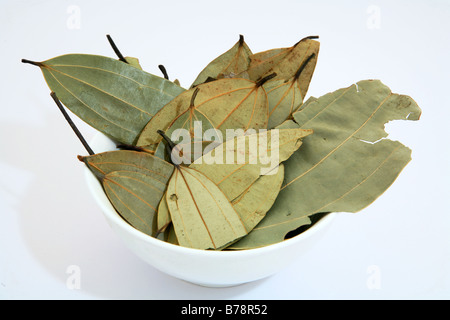 Dried Indian bay leaves in a bowl,they are used in some curry mixes as well as for stews in the west Stock Photo