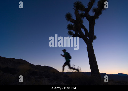 A silhouette of a man running by a Joshua Tree at sunset near Lone Pine in California Stock Photo