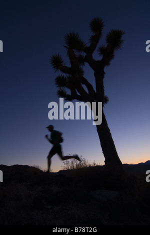 A silhouette of a man running by a Joshua Tree at sunset near Lone Pine in California Stock Photo