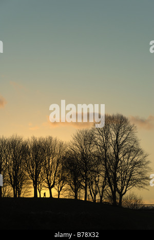 Winter sunset behind trees causing a silhouette of trees and a person walking in front of the setting sun Stock Photo