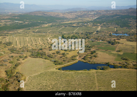 Aerial view of the Lowveld countryside showing orange and litchi orchards Stock Photo