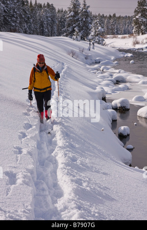 A woman skiing along the Truckee River on a snowy day in California Stock Photo