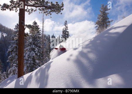 A woman skiing powder snow at Northstar at Tahoe ski area near Lake Tahoe in California Stock Photo