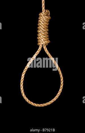 Hanging gallows rope with knot, isolated on white — Stock Photo © inxti74  #13659516