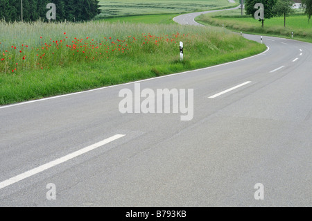 Germany, Baden Württemberg, Poppy field near road Stock Photo