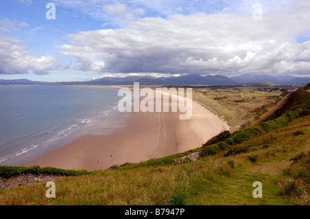 Morfa Harlech National Nature Reserve, Gwynedd, Wales, UK, Europe Stock Photo