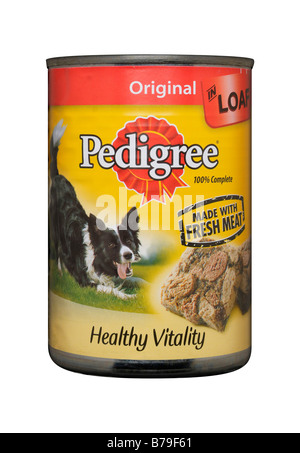 Pedigree chum outlet puppy