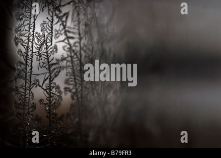 Ice crystals on window, selective focus Stock Photo
