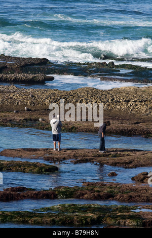 Visitors to La Jolla stand in a tide pool area near the Children's Pool. Stock Photo