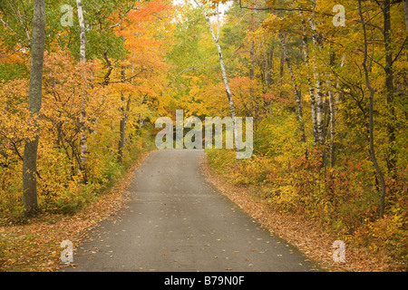 WISCONSIN - Autumn color along the forested roads at Peninsula State Park in Door County. Stock Photo
