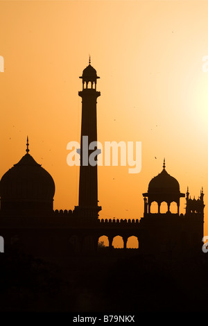 Sunset over the Jama Masjid in Delhi, India. The Jama Masjid is the largest mosque in India and was commissioned by Shah Jahan. Stock Photo