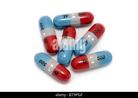 Tylenol 500 mg Acetaminophen tablets/capsules Stock Photo