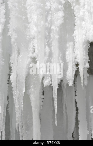 Icicles with soft rime ice Stock Photo