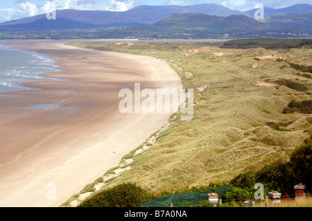Morfa Harlech National Nature Reserve, Gwynedd, Wales, UK, Europe Stock Photo