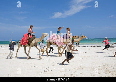 Camel race on sands Diani Beach Southern coast Mombasa Kenya Stock Photo