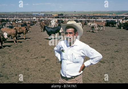 Portrait of illegal Mexican alien immigrant working at a cattle feedlot near El Paso Texas Stock Photo