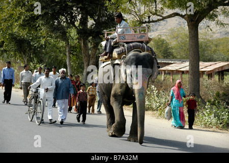 Street scene, elephant and people walking in the street, Jaipur, Rajasthan, India, Asia Stock Photo