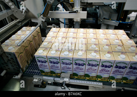 Tetra Paks with plum juice in the packaging machine of the Emil Jacoby fruit juice press house in Auggen, Baden-Wuerttemberg, G Stock Photo