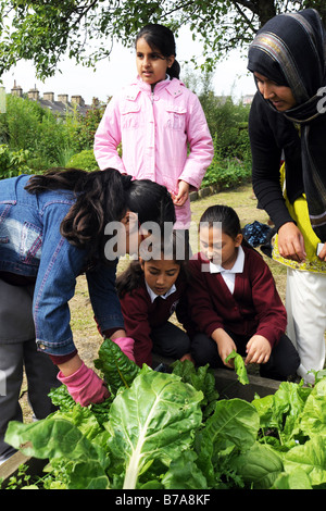 Children visit a local allotment project to learn about gardening and the environment Stock Photo