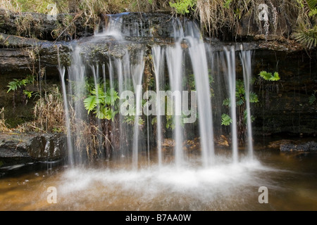 Small waterfall at the Mac Mac Pools, Panorama Route, South Africa Stock Photo