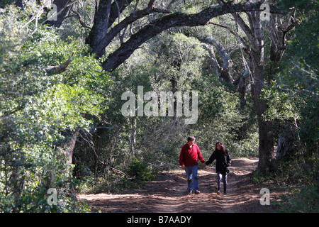 Couple holding hands walking on a track in sand forest Stock Photo