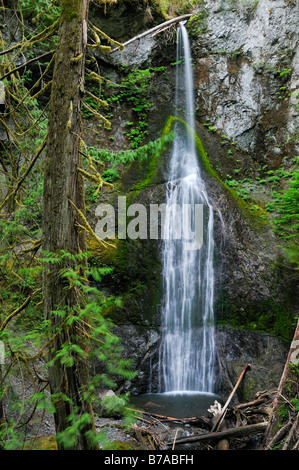 Marymere Falls, waterfall, tourist attraction, Olympic National Park, Washington, USA, North America Stock Photo