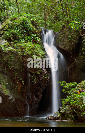 Waterfalls in the rainforest of the Cockscomb Basin Wildlife Sanctuary, Belize, Central America Stock Photo