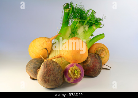 Mixed vegetables, swedes or yellow turnips, turnips, beetroot and celery Stock Photo