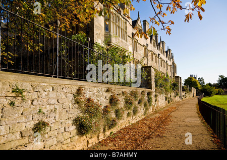 Deadman's Walk alongside Merton College, Oxford, England, UK. Stock Photo