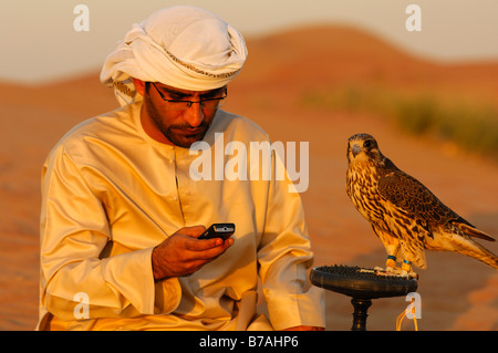 Arab falconer and his hunting falcon in the desert reading messages on his mobile phone, Dubai, United Arab Emirates, UAE Stock Photo