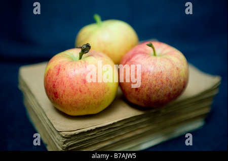 Three British royal gala apples on a batch of old books Stock Photo