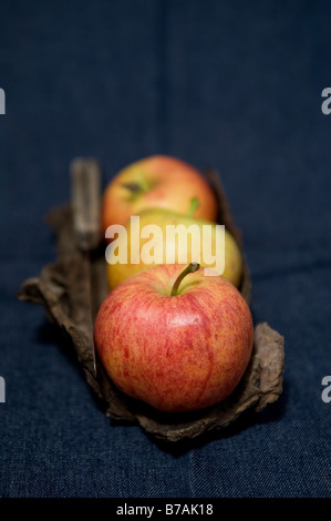 Three British royal gala apples on a piece of wood with a knife Stock Photo