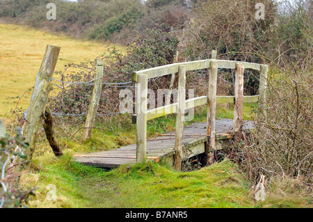 a rickety tumbledown old wooden bridge footbridge on a country walkway pathway used by ramblers and walkers pathways bridges Stock Photo