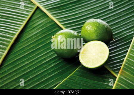 Limes on banana leaves Stock Photo
