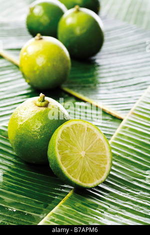 Limes on banana leaves Stock Photo