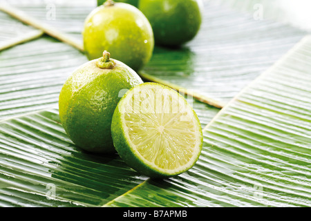 Limes on banana leaves Stock Photo