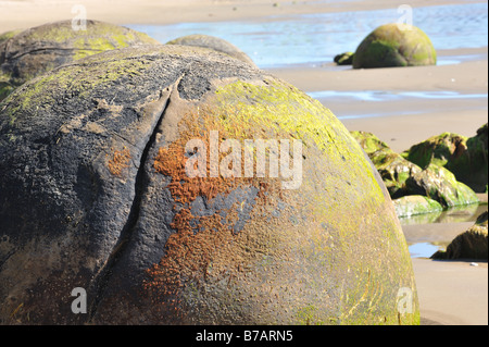 Moeraki Boulders South Island New Zealand Stock Photo