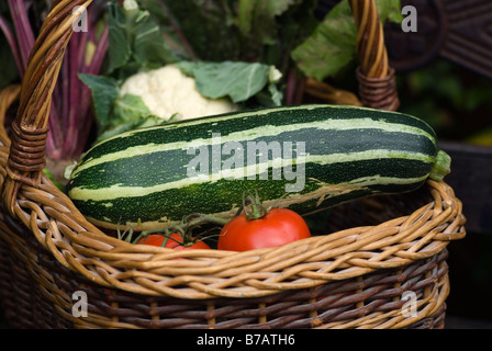 WICKER BASKET OF VEGETABLES CONTAINING MARROW TOMATOES CAULIFLOWER BEETROOT Stock Photo