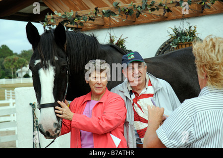 New England Shire Horse Centre Ocala Florida USA a popular tourist attraction visitors posing with one of the shires Stock Photo