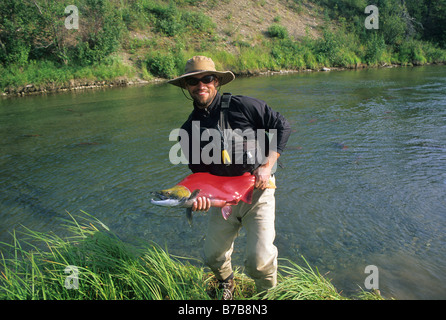 Sockey salmon hi-res stock photography and images - Alamy
