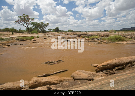 Tsavo River, Tsavo East National Park, Kenya Stock Photo: 73304943 - Alamy