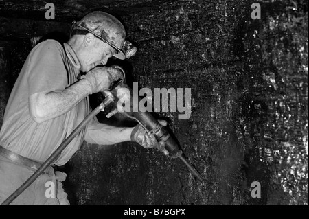 Miner cutting coal underground at Blaencuffin coal mine a privately owned drift mine on mountainside above Pontypool Torfaen Gwent South Wales Stock Photo