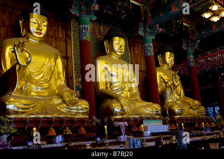 Buddha statues at Hall of the Great Hero or Daeung jeon at Jogyesa Buddhist Temple, Seoul, South Korea Stock Photo