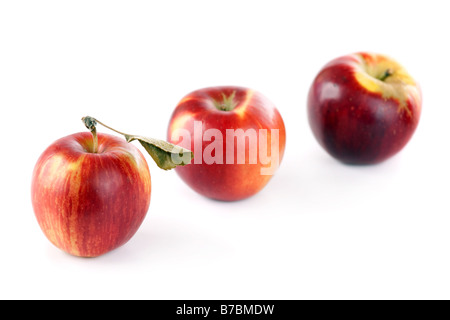 three red apples in row focus on the first Stock Photo