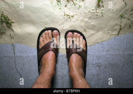 Male hairy feet wearing blue flip flops standing on a wooden floor in front  of a mirror. Stock Photo