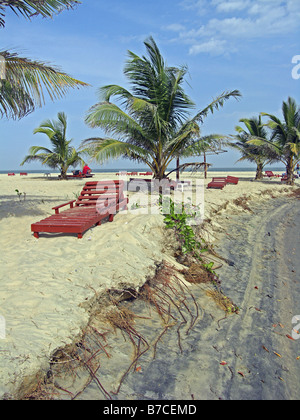 Sunbeds on a beach in The Gambia, West Africa. Stock Photo